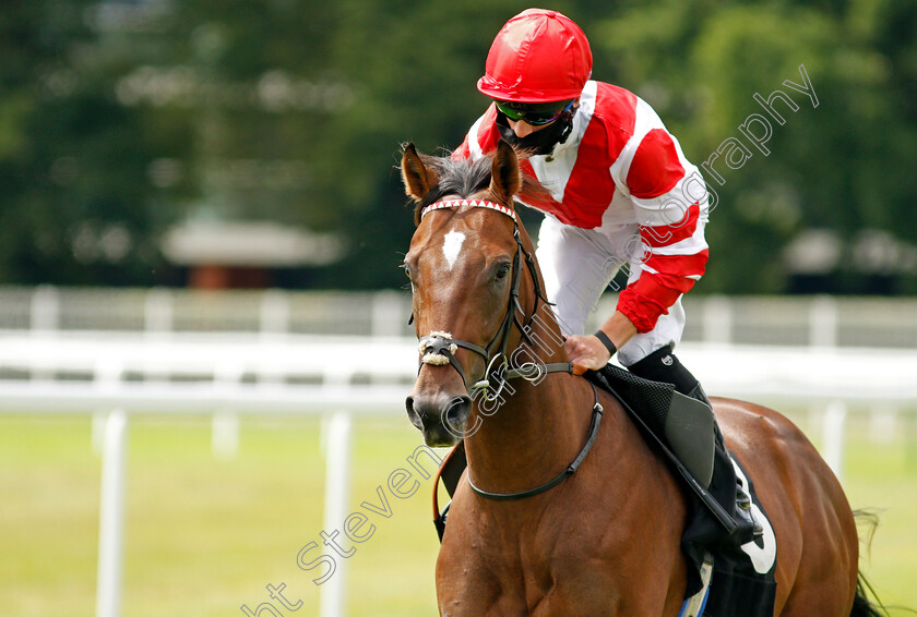 My-Next-Guest-0002 
 MY NEXT GUEST (Thomas Greatrex)
Newbury 19 Jul 2020 - Pic Steven Cargill / Racingfotos.com