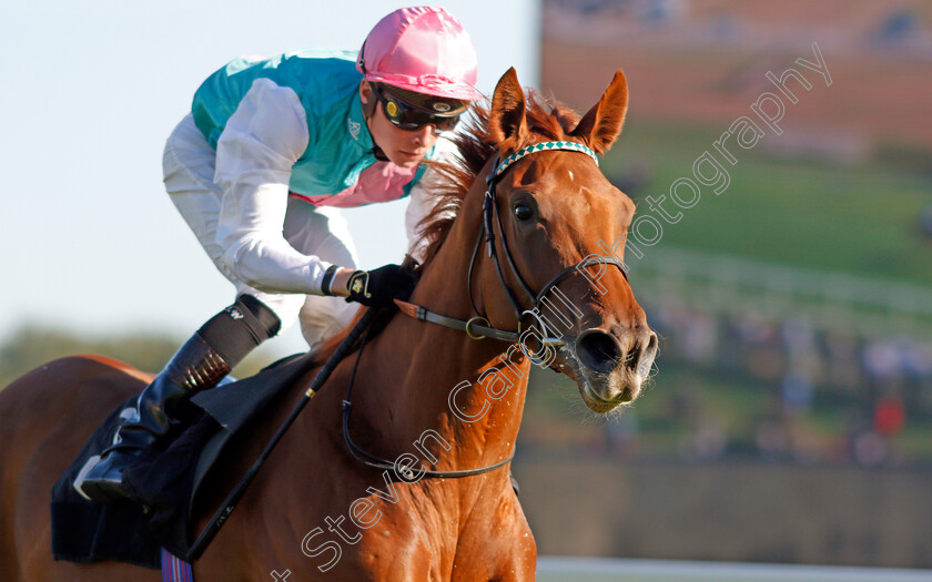 Quadrilateral-0012 
 QUADRILATERAL (Jason Watson) wins The Dubai Duty Free Full Of Surprises British EBF Fillies Conditions Stakes
Newbury 20 Sep 2019 - Pic Steven Cargill / Racingfotos.com