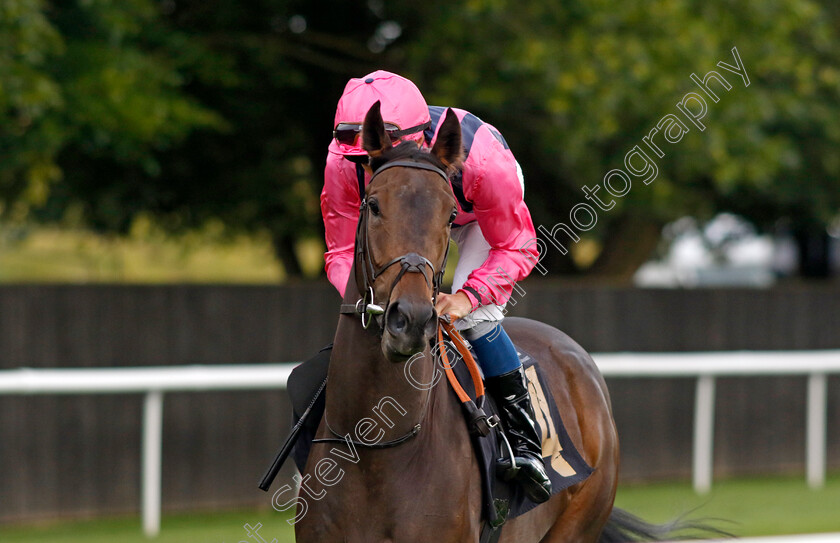 Swiss-Star-0001 
 SWISS STAR (William Buick)
Newmarket 4 Aug 2023 - Pic Steven Cargill / Racingfotos.com