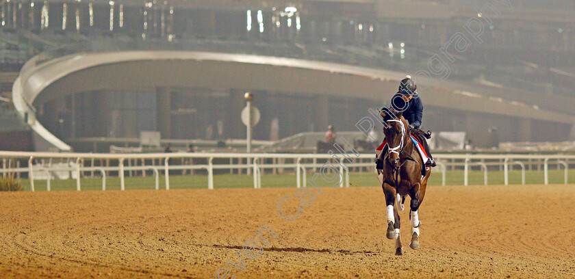 Life-Is-Good-0014 
 LIFE IS GOOD training for the Dubai World Cup
Meydan, Dubai, 22 Mar 2022 - Pic Steven Cargill / Racingfotos.com