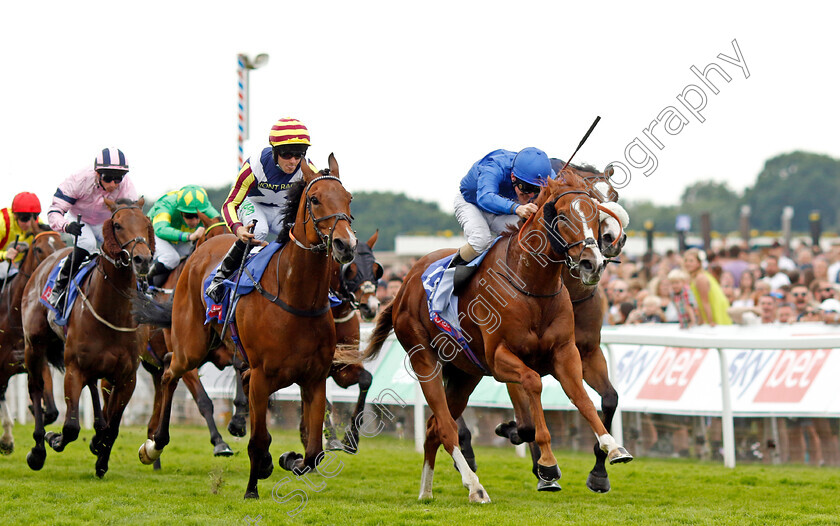 Wild-Lion-0005 
 WILD LION (Kieran O'Neill) beats GWEEDORE (left) in The Sky Bet Handicap
York 17 Jun 2023 - Pic Steven Cargill / Racingfotos.com