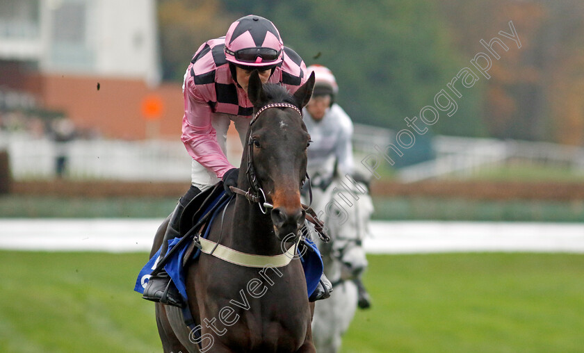 Honneur-D Ajonc-0002 
 HONNEUR D'AJONC (David Noonan)
Sandown 3 Dec 2022 - Pic Steven Cargill / Racingfotos.com