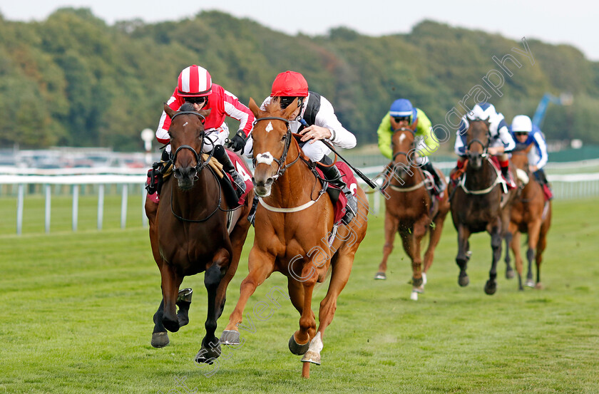 Leitzel-0003 
 LEITZEL (centre, Daniel Tudhope) beats DOUBLE MARCH (left) in The British Stallion Studs EBF Fillies Novice Stakes
Haydock 2 Sep 2022 - Pic Steven Cargill / Racingfotos.com