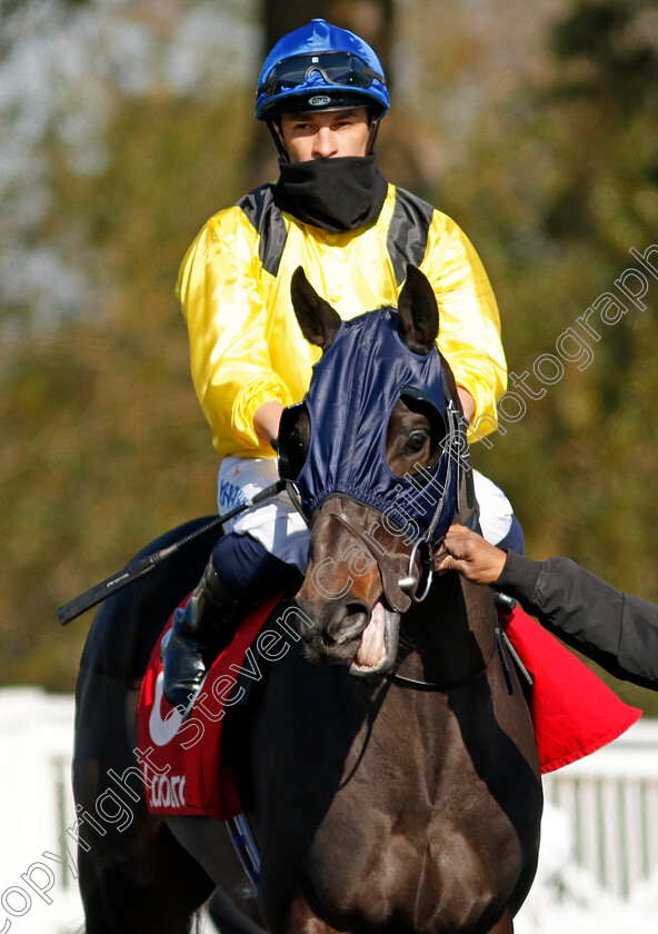 Yazaman-0001 
 YAZAMAN (Silvestre de Sousa)
Lingfield 2 Apr 2021 - Pic Steven Cargill / Racingfotos.com