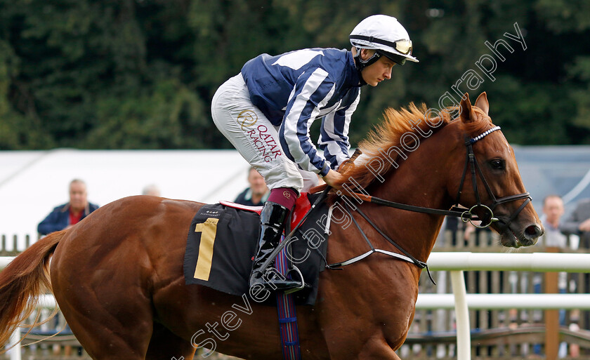 Lake-Forest-0002 
 LAKE FOREST (Cieren Fallon)
Newmarket 4 Aug 2023 - Pic Steven Cargill / Racingfotos.com