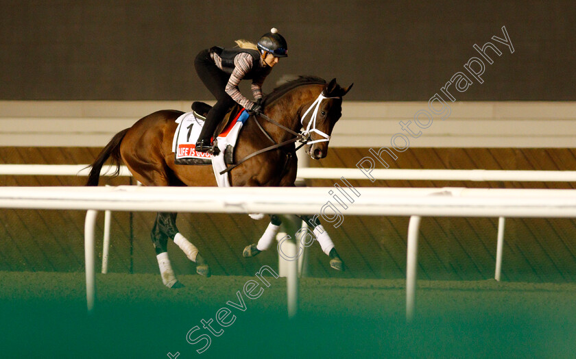 Life-Is-Good-0003 
 LIFE IS GOOD training for The Dubai World Cup
Meydan, Dubai, 24 Mar 2022 - Pic Steven Cargill / Racingfotos.com