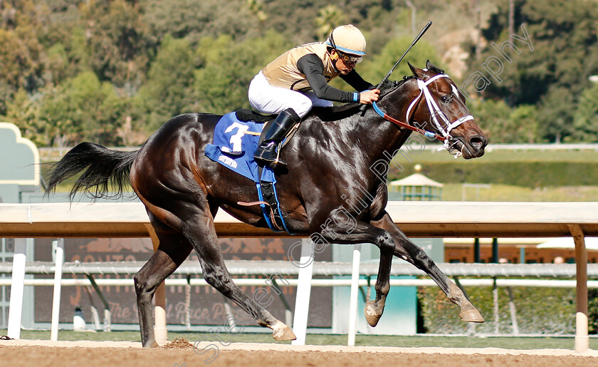 Tap-Back-0003 
 TAP BACK (Victor Espinoza) wins The Golden State Juvenile
Santa Anita USA 1 Nov 2019 - Pic Steven Cargill / Racingfotos.com