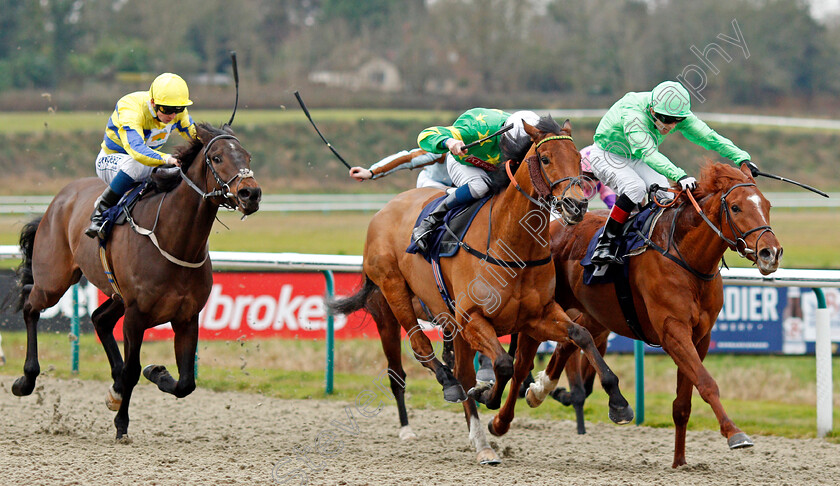 River-Dawn-0002 
 RIVER DAWN (right, Ben Curtis) beats MR MAC (centre) in The Bombardier Golden Beer Handicap Div2
Lingfield 2 Jan 2020 - Pic Steven Cargill / Racingfotos.com