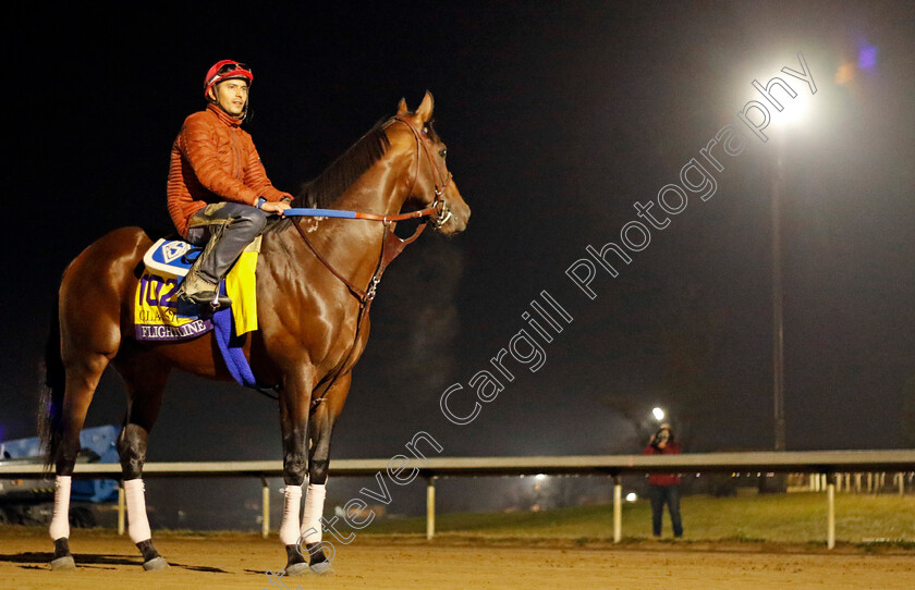 Flightline-0005 
 FLIGHTLINE training for the Breeders' Cup Classic
Keeneland USA 2 Nov 2022 - Pic Steven Cargill / Racingfotos.com