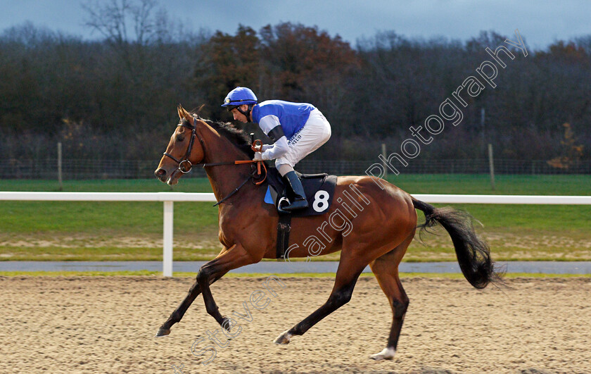 Motamayiz-0001 
 MOTAMAYIZ (Martin Dwyer)
Chelmsford 28 Nov 2019 - Pic Steven Cargill / Racingfotos.com