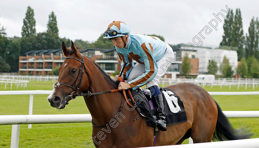 Zoukster-0007 
 ZOUKSTER (Hector Crouch) winner of The BetVictor Handicap
Newbury 27 Jul 2023 - Pic Steven Cargill / Racingfotos.com