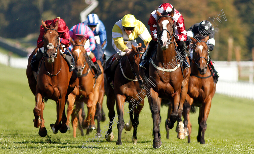 Enigmatic-0003 
 ENIGMATIC (Josephine Gordon) wins The Maltsmiths Optional Claiming Handicap
Goodwood 26 Sep 2018 - Pic Steven Cargill / Racingfotos.com