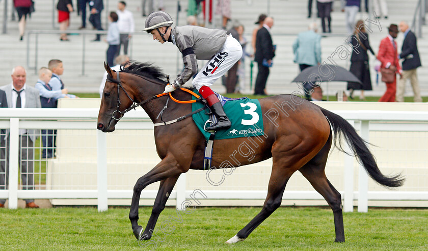 Delmona-0001 
 DELMONA (David Egan)
Ascot 24 Jul 2021 - Pic Steven Cargill / Racingfotos.com