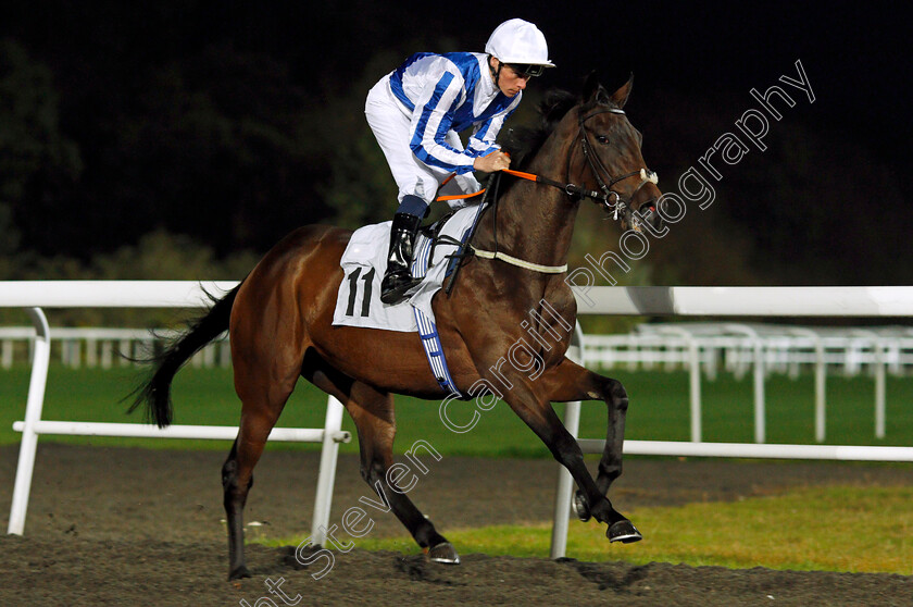 Rainbow-Rising-0001 
 RAINBOW RISING (Kieran Shoemark) Kempton 11 Oct 2017 - Pic Steven Cargill / Racingfotos.com