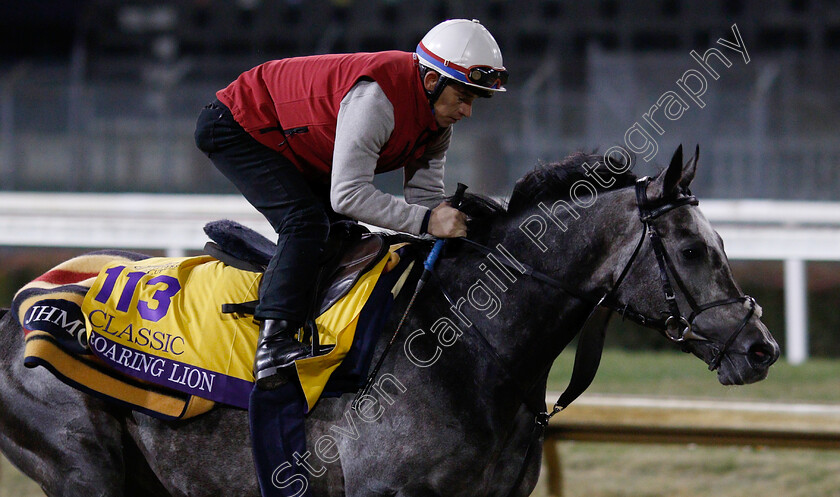 Roaring-Lion-0007 
 ROARING LION exercising ahead of The Breeders' Cup Classic
Churchill Downs USA 30 Oct 2018 - Pic Steven Cargill / Racingfotos.com