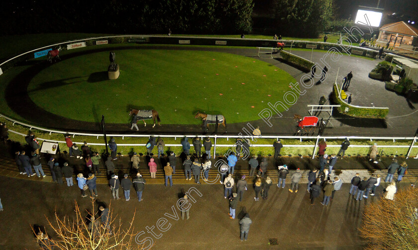 Kempton-0003 
 Punters view the horses in the paddock 
Kempton 2 Dec 2020 - Pic Steven Cargill / Racingfotos.com