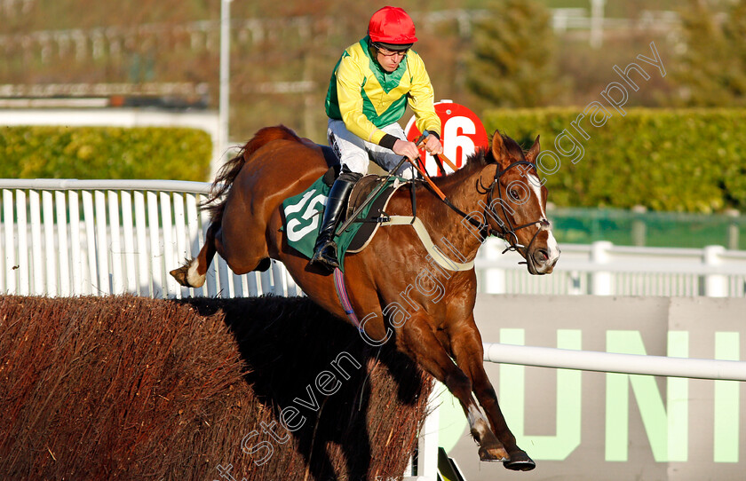 Sizing-Tennessee-0001 
 SIZING TENNESSEE (Barry O'Neill) Cheltenham 13 Mar 2018 - Pic Steven Cargill / Racingfotos.com