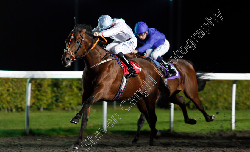 Belgian-Bill-0001 
 BELGIAN BILL (Pat Cosgrave) Kempton 4 Oct 2017 - Pic Steven Cargill / Racingfotos.com