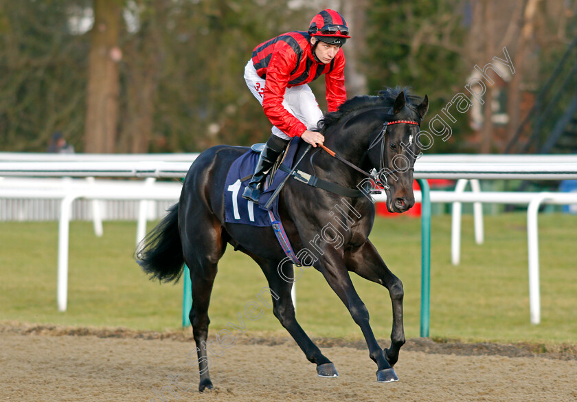 Gunnar-Julius-0002 
 GUNNAR JULIUS (Luke Morris) Lingfield 10 Jan 2018 - Pic Steven Cargill / Racingfotos.com