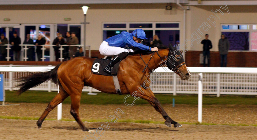 Story-Of-Light-0004 
 STORY OF LIGHT (James Doyle) wins The Bet toteplacepot At totesport.com Novice Stakes
Chelmsford 19 Nov 2019 - Pic Steven Cargill / Racingfotos.com