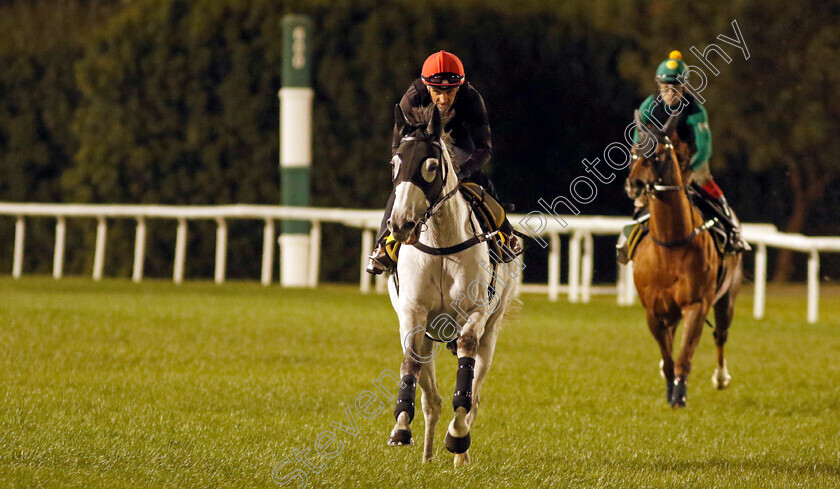 Glorious-Dragon-0002 
 GLORIOUS DRAGON training for The Dubai Turf
Meydan, Dubai, 22 Mar 2023 - Pic Steven Cargill / Racingfotos.com