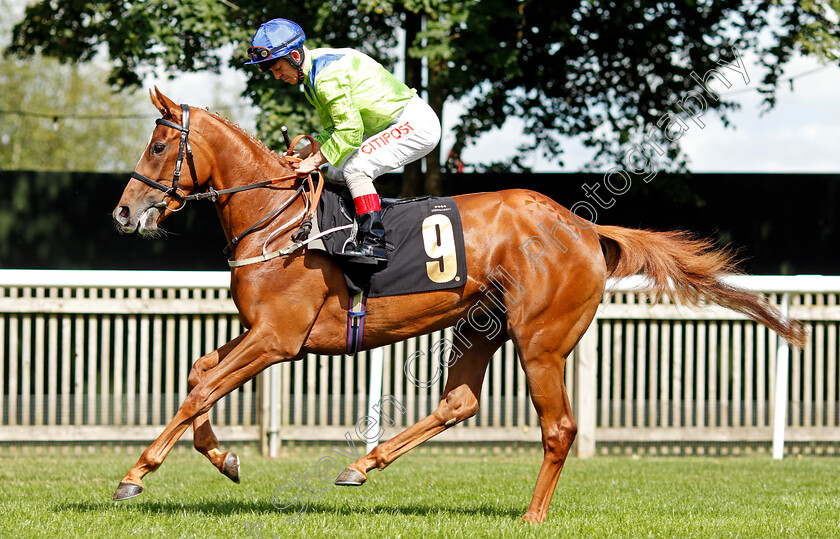 Value-Theory-0001 
 VALUE THEORY (Franny Norton)
Newmarket 7 Aug 2021 - Pic Steven Cargill / Racingfotos.com