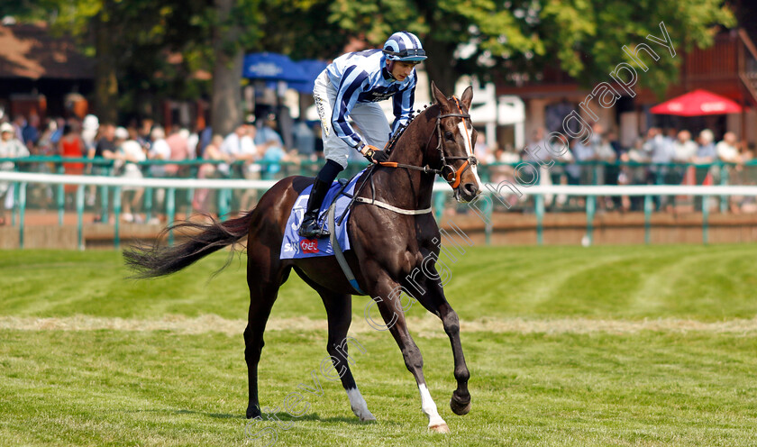 Onesmoothoperator-0001 
 ONESMOOTHOPERATOR (Ben Roinson)
Haydock 10 Jun 2023 - Pic Steven Cargill / Racingfotos.com