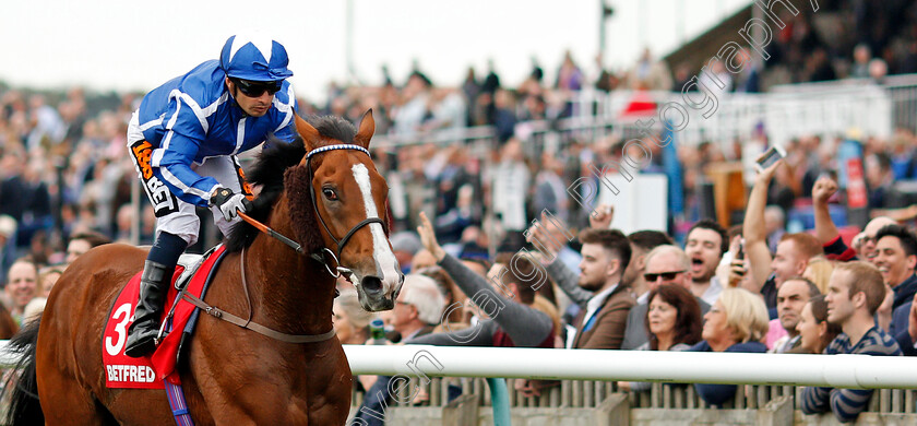 Withhold-0004 
 WITHHOLD (Silvestre De Sousa) wins The Betfred Cesarewitch Handicap Newmarket 14 Oct 2017 - Pic Steven Cargill / Racingfotos.com