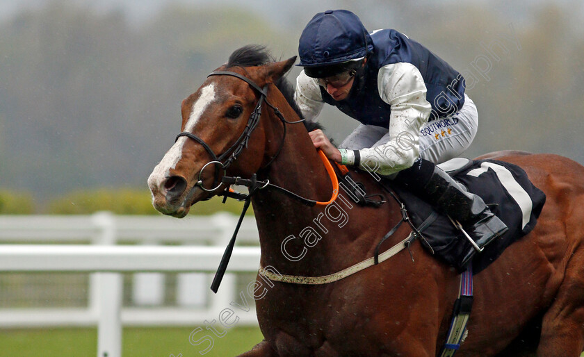 Rohaan-0006 
 ROHAAN (Ryan Moore) wins The Qipco British Champions Series Pavilion Stakes
Ascot 28 Apr 2021 - Pic Steven Cargill / Racingfotos.com