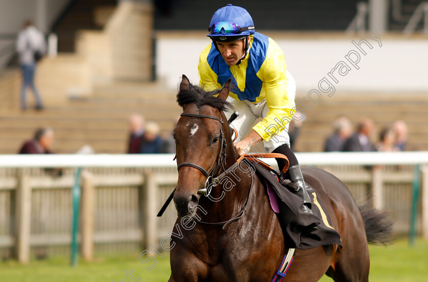 Al-Mootamarid-0001 
 AL MOOTAMARID (Neil Callan)
Newmarket 28 Sep 2023 - Pic Steven Cargill / Racingfotos.com