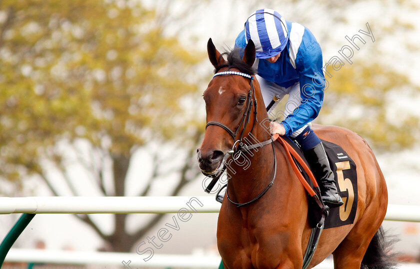 Maqsad-0002 
 MAQSAD (Jim Crowley) winner of The bet365 EBF Fillies Maiden Stakes Div1
Newmarket 16 Apr 2019 - Pic Steven Cargill / Racingfotos.com