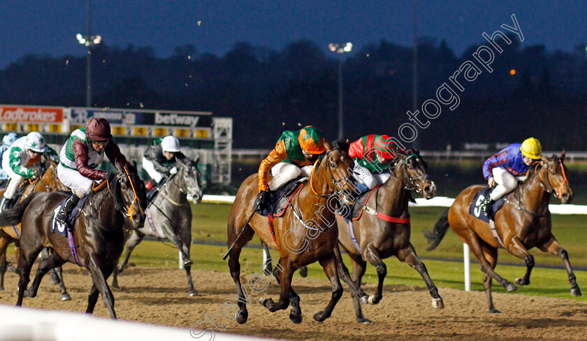 Pink-Jazz-0001 
 PINK JAZZ (Joe Fanning) wins The Ladbrokes Football Acca Boosty Handicap
Wolverhampton 13 Jan 2020 - Pic Steven Cargill / Racingfotos.com