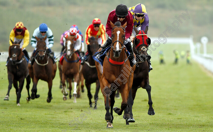 Honourbound-0005 
 HONOURBOUND (Hayley Turner) wins The Download The At The Races Ipad App Handicap
Ffos Las 14 Aug 2018 - Pic Steven Cargill / Racingfotos.com