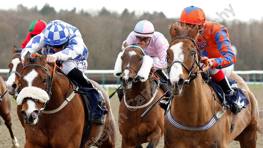 Hurricane-Alert-0003 
 HURRICANE ALERT (left, David Probert) beats PROMINNA (right) in The Betway Heed Your Hunch Handicap
Lingfield 2 Mar 2019 - Pic Steven Cargill / Racingfotos.com