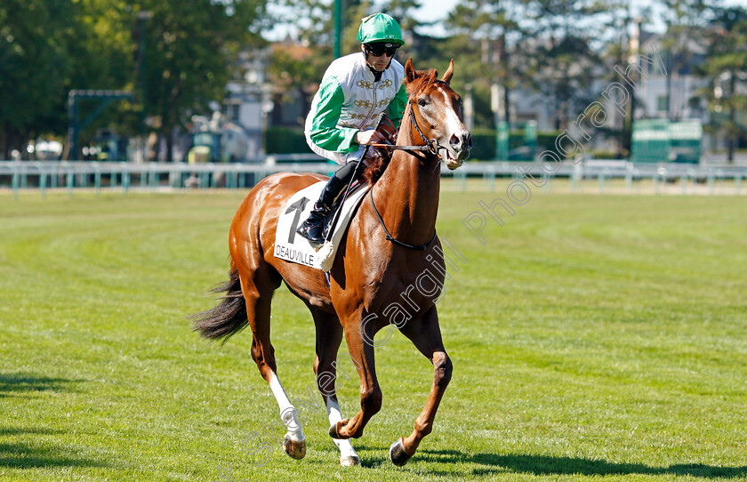 Al-Dasim-0001 
 AL DASIM (Jack Mitchell)
Deauville 6 Aug 2022 - Pic Steven Cargill / Racingfotos.com