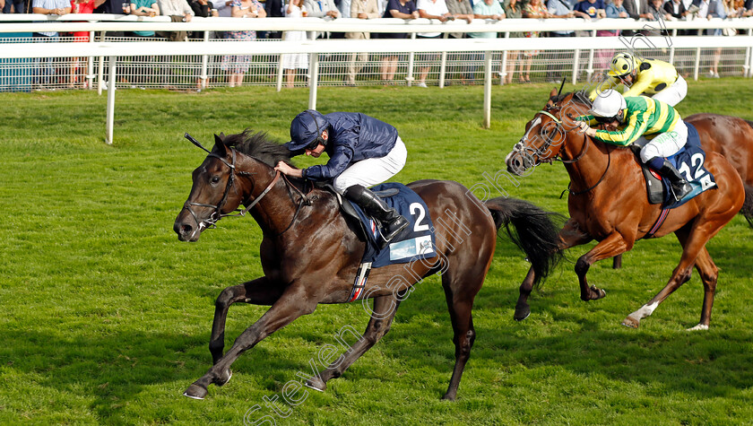 Battle-Cry-0003 
 BATTLE CRY (Ryan Moore) wins The British EBF 40th Anniversary Convivial Maiden Stakes
York 25 Aug 2023 - Pic Steven Cargill / Racingfotos.com