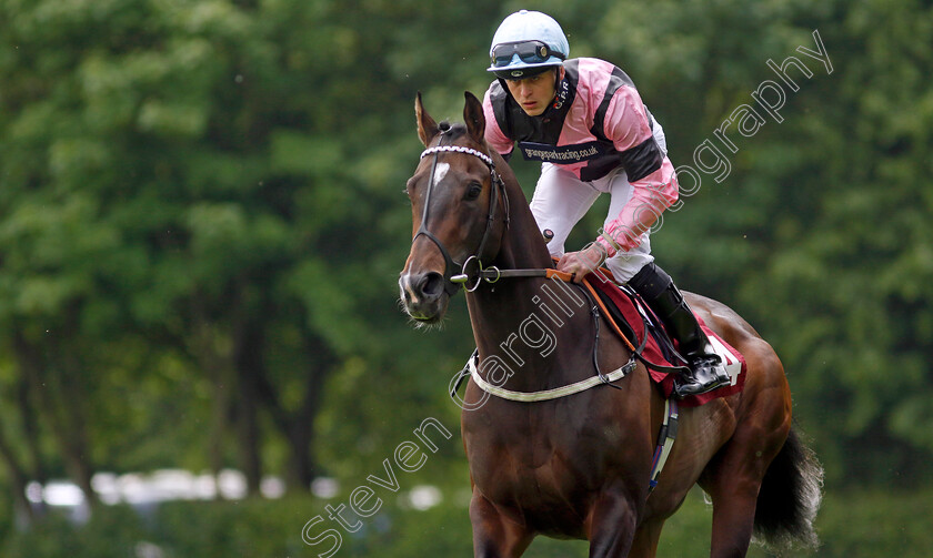 El-Caballo-0003 
 EL CABALLO (Clifford Lee) winner of The Cazoo Sandy Lane Stakes
Haydock 21 May 2022 - Pic Steven Cargill / Racingfotos.com