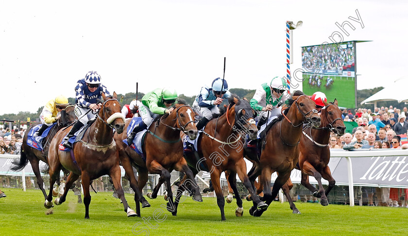 Equilateral-0005 
 EQUILATERAL (Jamie Spencer) beats ALLIGATOR ALLEY (2nd right) JM JUNGLE (2nd left) and MAKANAH (left) in The Sky Bet & Symphony Group Handicap
York 23 Aug 2023 - Pic Steven Cargill / Racingfotos.com