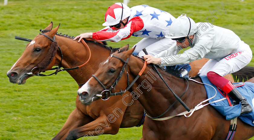 What s-The-Story-0006 
 WHAT'S THE STORY (left, Joe Fanning) beats VALE OF KENT (right) in The Clipper Logistics Handicap
York 22 Aug 2019 - Pic Steven Cargill / Racingfotos.com