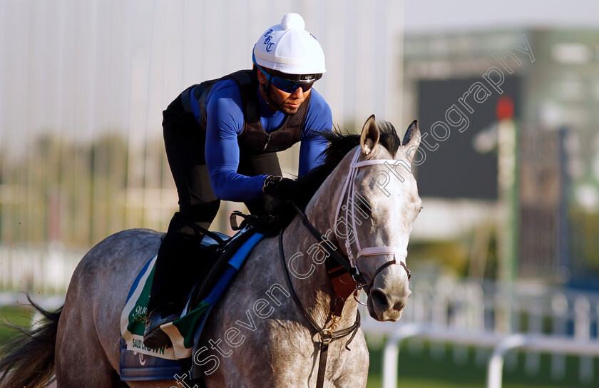 Saudi-Crown-0006 
 SAUDI CROWN training for The Saudi Cup
King Abdulaziz Racecourse, Saudi Arabia 21 Feb 2024 - Pic Steven Cargill / Racingfotos.com