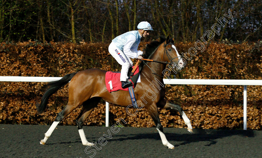 Roma-Bangkok-0001 
 ROMA BANGKOK (Andrea Atzeni)
Kempton 6 Mar 2019 - Pic Steven Cargill / Racingfotos.com