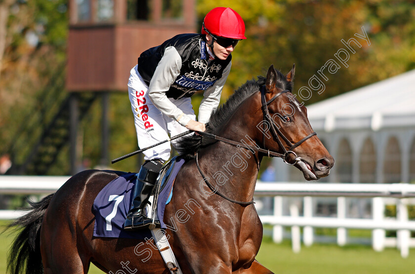 Ashington-0001 
 ASHINGTON (Jamie Spencer) Lingfield 5 Oct 2017 - Pic Steven Cargill / Racingfotos.com