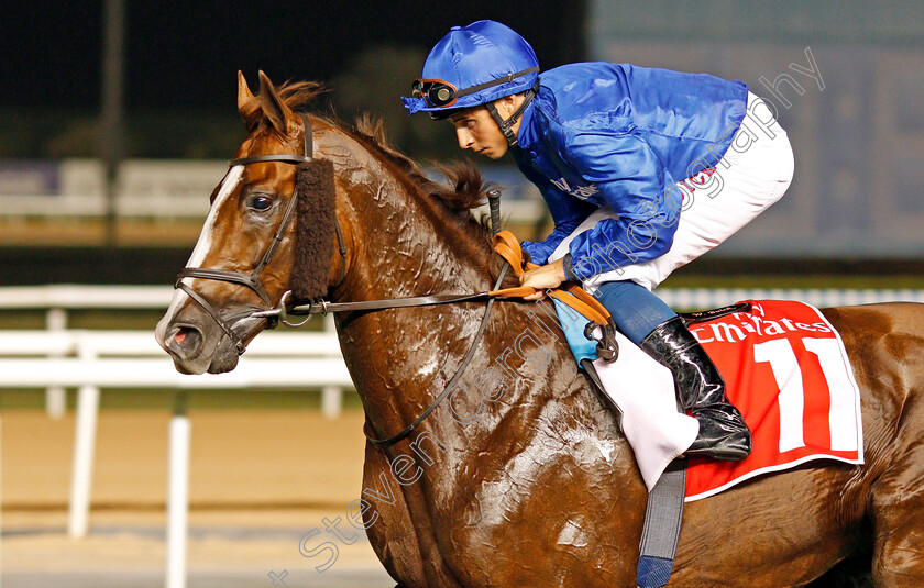 Hawkbill-0017 
 HAWKBILL (William Buick) winner of The Dubai City Of Gold Meydan 10 Mar 2018 - Pic Steven Cargill / Racingfotos.com