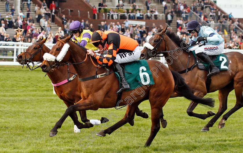 Northern-Beau-0004 
 NORTHERN BEAU (Richie McLernon) wins The Thoroughbred Breeders Association Mares Handicap Chase
Cheltenham 18 Apr 2019 - Pic Steven Cargill / Racingfotos.com