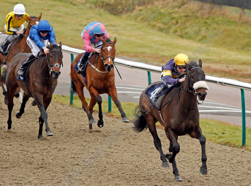 Dancing-Brave-Bear-0005 
 DANCING BRAVE BEAR (Stevie Donohoe) wins The 32Red Casino EBF Fillies Novice Stakes Lingfield 20 Dec 2017 - Pic Steven Cargill / Racingfotos.com