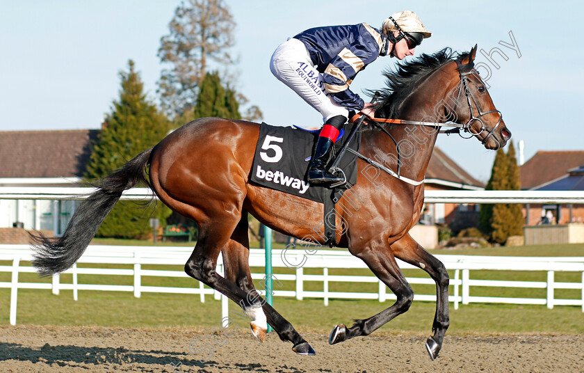 Khalidi-0002 
 KHALIDI (Adam Kirby) Lingfield 24 Feb 2018 - Pic Steven Cargill / Racingfotos.com