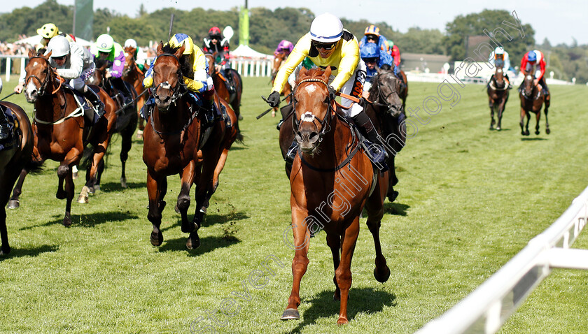 Ostilio-0004 
 OSTILIO (Silvestre De Sousa) wins The Britannia Stakes 
Royal Ascot 21 Jun 2018 - Pic Steven Cargill / Racingfotos.com