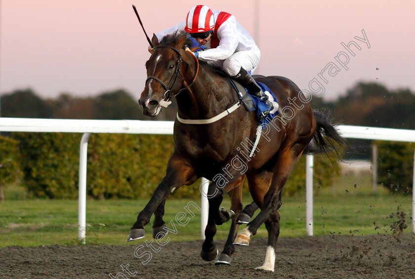 Kings-Highway-0002 
 KINGS HIGHWAY (Robert Havlin) wins The 100% Profit Boost At 32Redsport.com Novice Stakes Div2
Kempton 27 Sep 2018 - Pic Steven Cargill / Racingfotos.com