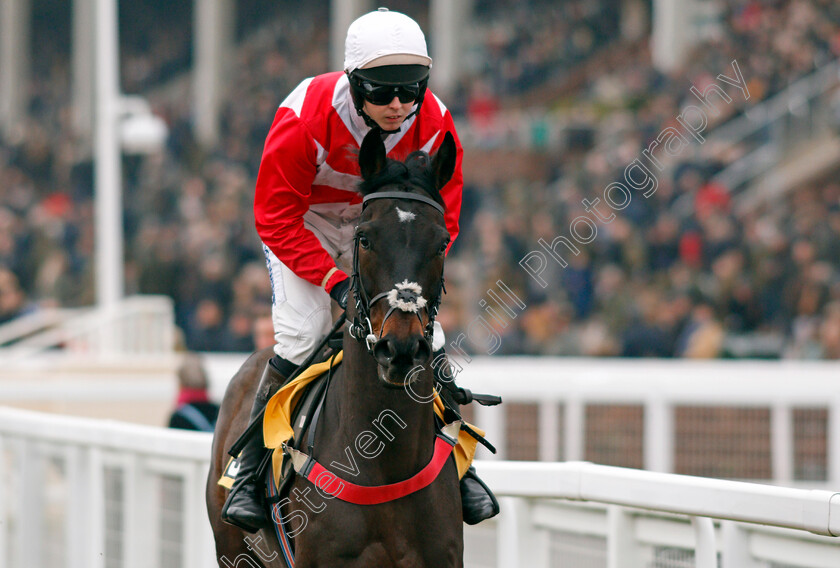 Gerolamo-Cardano-0001 
 GEROLAMO CARDANO (Kielan Woods)
Cheltenham 25 Jan 2020 - Pic Steven Cargill / Racingfotos.com