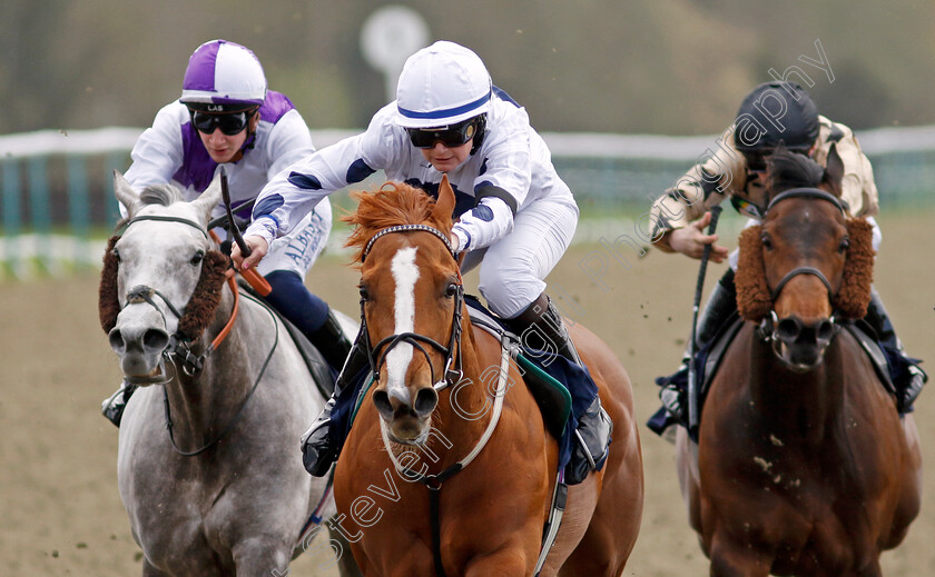 Jungle-Charm-0003 
 JUNGLE CHARM (Laura Coughlan) wins The Download The Raceday Ready App Apprentice Handicap
Lingfield 4 Apr 2024 - Pic Steven Cargill / Racingfotos.com